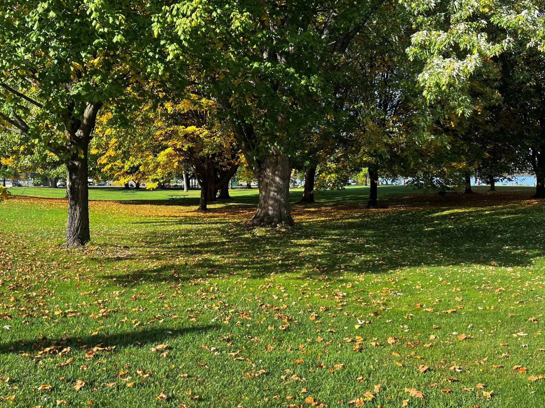 Hodag Park