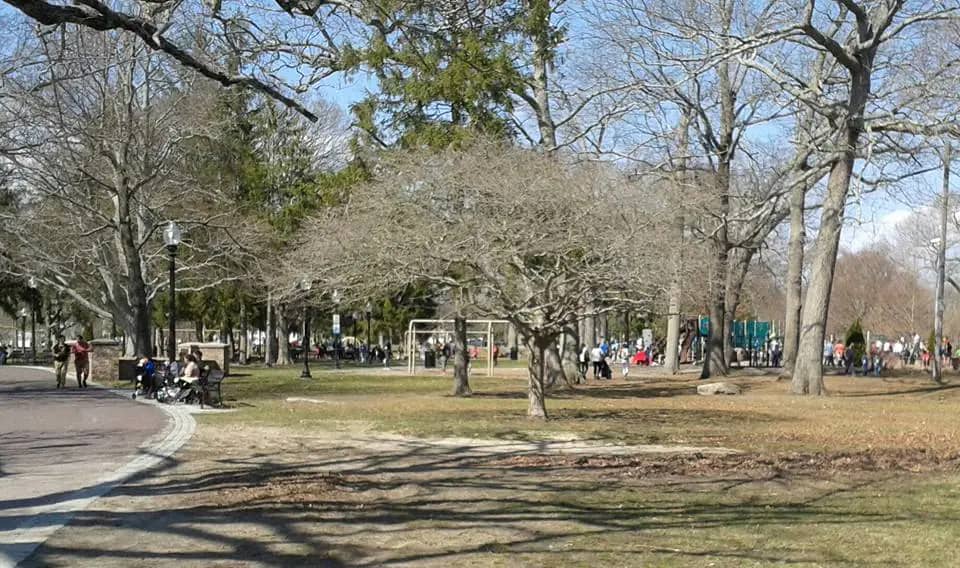 Playground area at Buttonwood Park in New Bedford