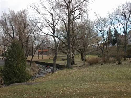 Open lawn area at Lincoln Park