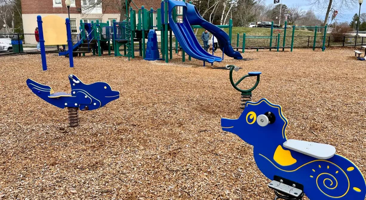 Blue dolphin and seahorse bouncers at Duxbury Library Playground