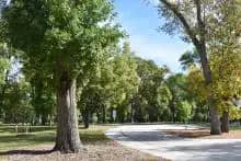 Walking path at Lindenwood Park
