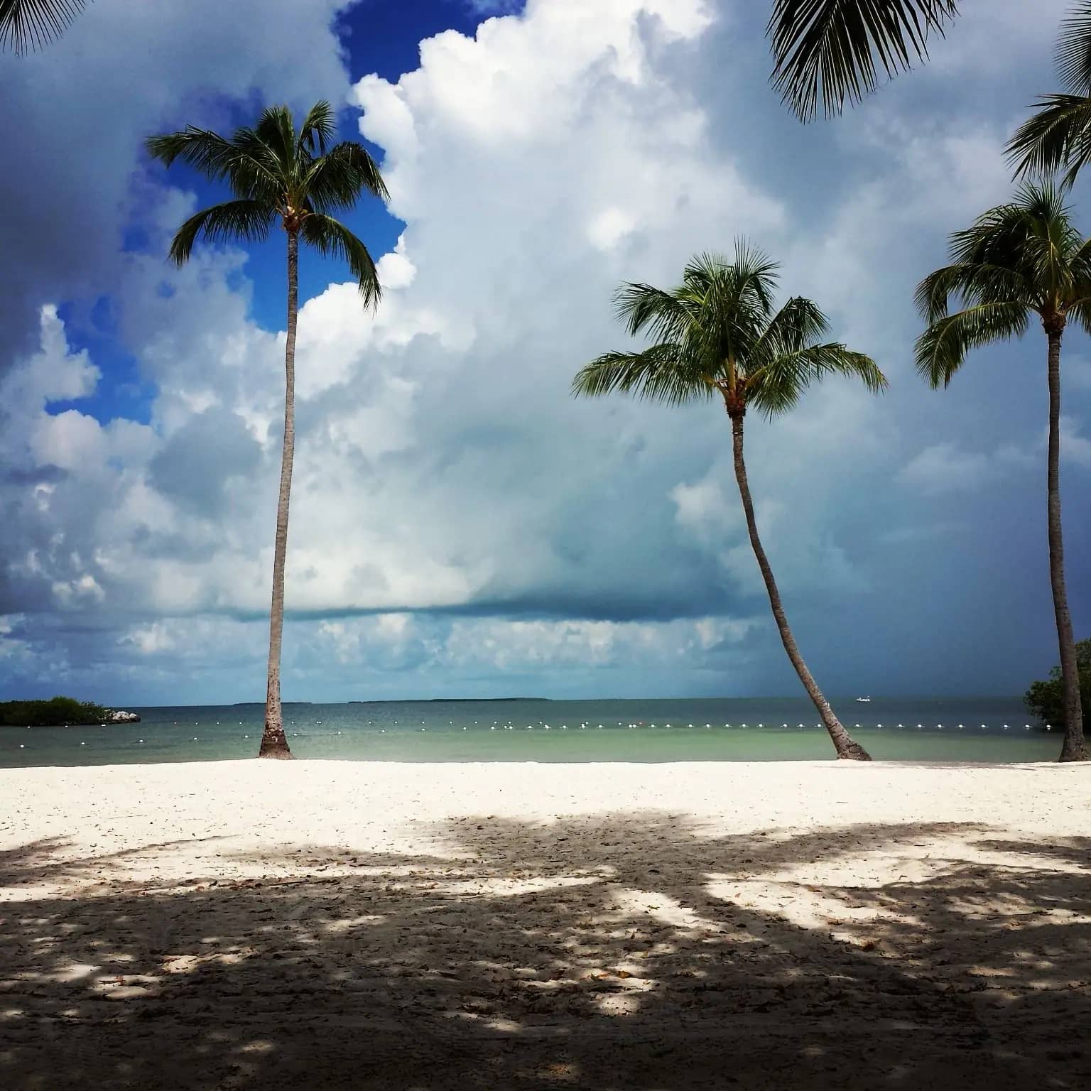 Beach area with shade and family amenities at Founders Park