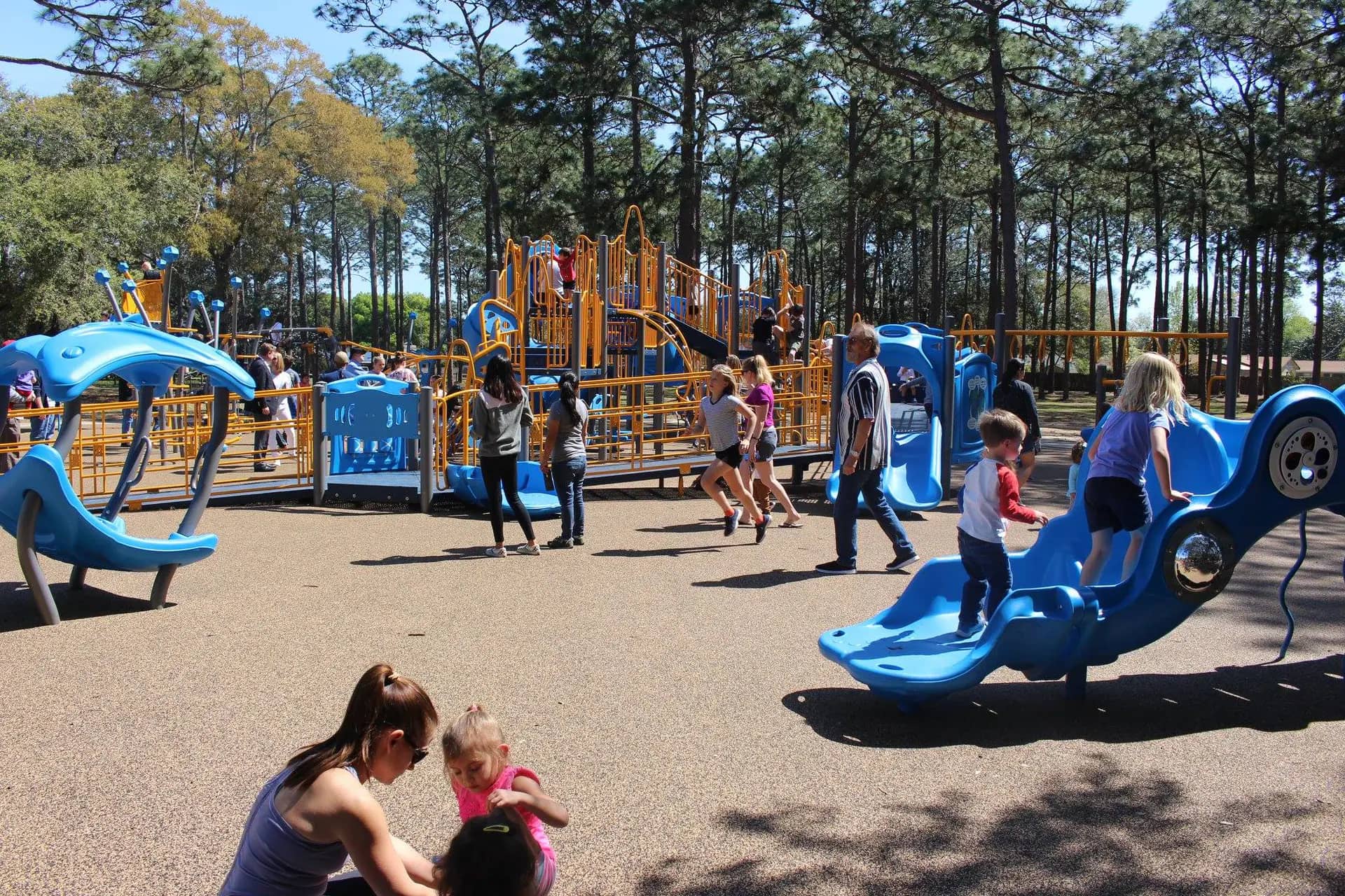 Hitzman-Optimist Park Inclusive Playground