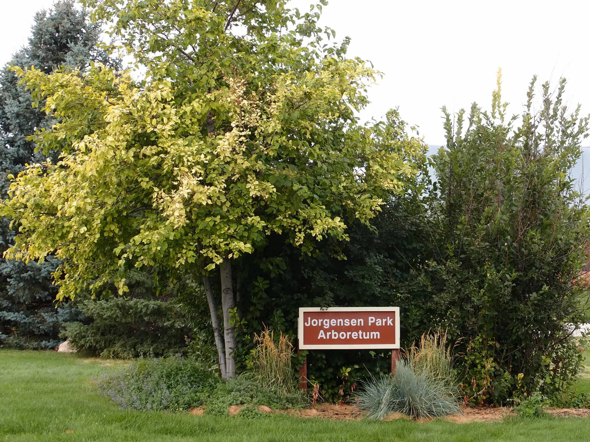 Jorgensen Park